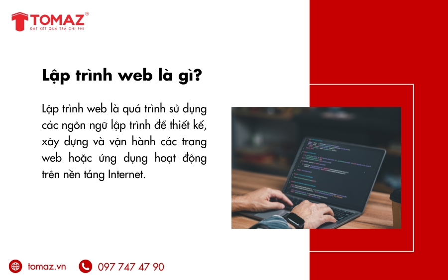 Cần học những gì để bắt đầu viết code web cơ bản?