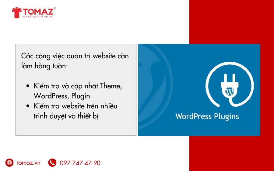 Các công việc quản trị website cần làm hằng tuần