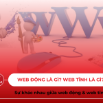 Web động là gì? Web tĩnh là gì? Sự khác nhau giữa web tĩnh và web động