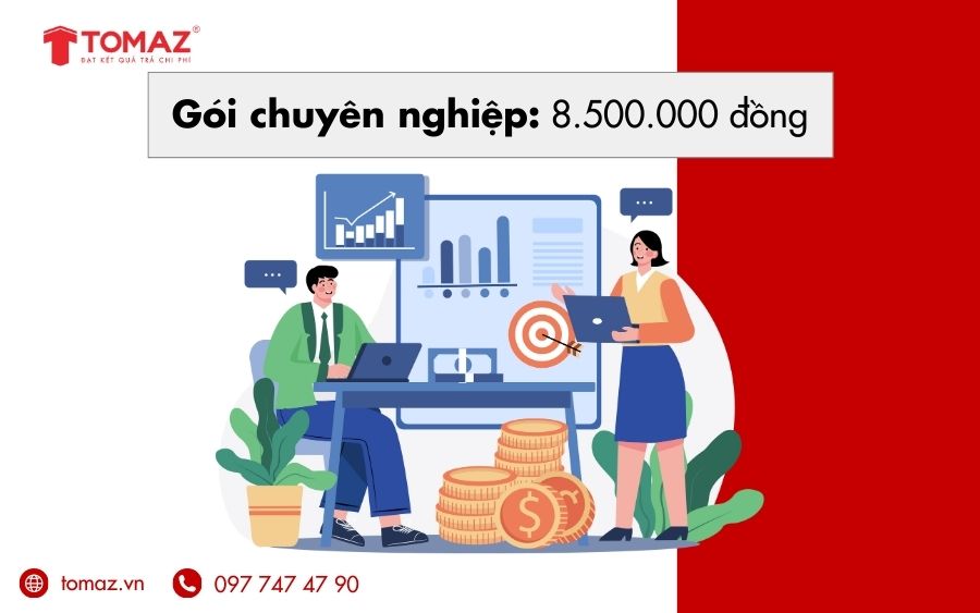 Gói chuyên nghiệp cung cấp website theo phong cách riêng của doanh nghiệp