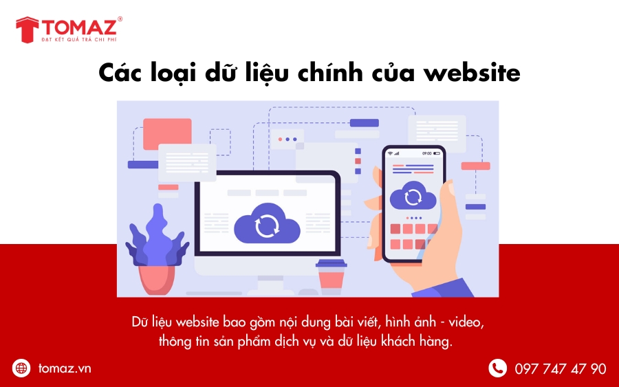 Các loại dữ liệu chính của website