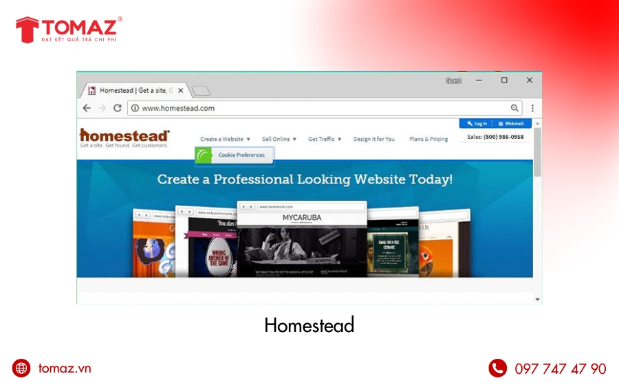 Phần mềm thiết kế web - Homestead