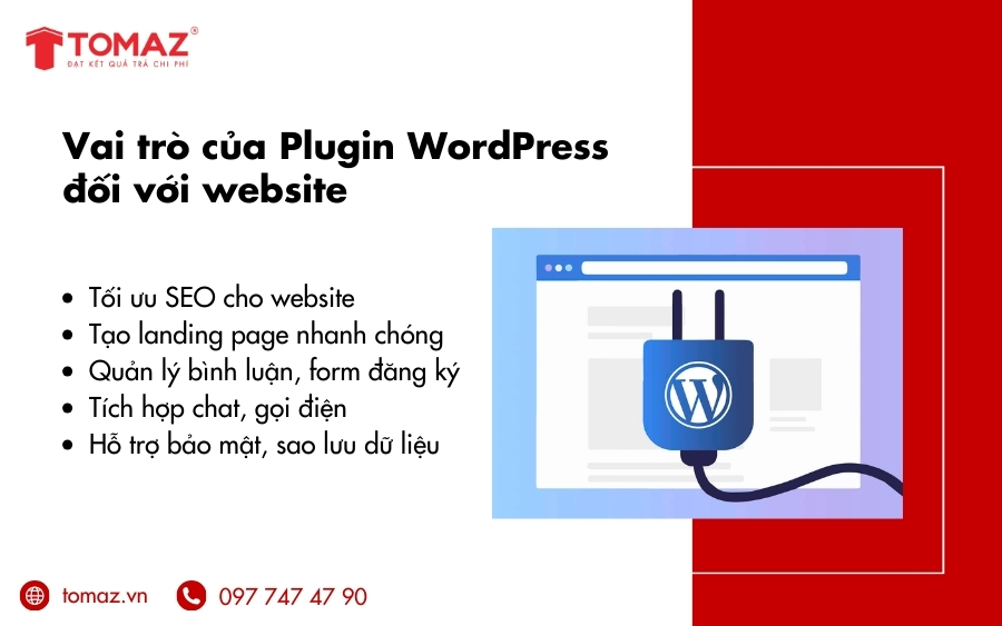 Vai trò của Plugin WordPress là gì?